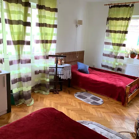 Guest house Old Town Petcu's House *