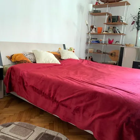 Old Town Petcu's House Guest house Brasov
